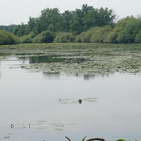Maison De Ferme Au Calme Jusqu'A 10 Personnes Gannay-sur-Loire Zewnętrze zdjęcie