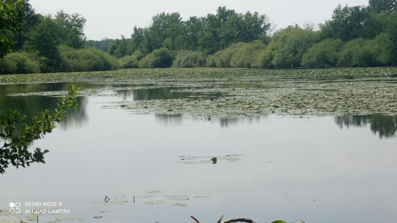Maison De Ferme Au Calme Jusqu'A 10 Personnes Gannay-sur-Loire Zewnętrze zdjęcie