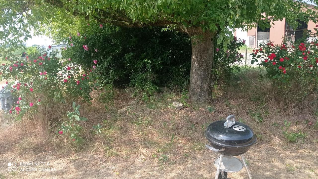 Maison De Ferme Au Calme Jusqu'A 10 Personnes Gannay-sur-Loire Zewnętrze zdjęcie